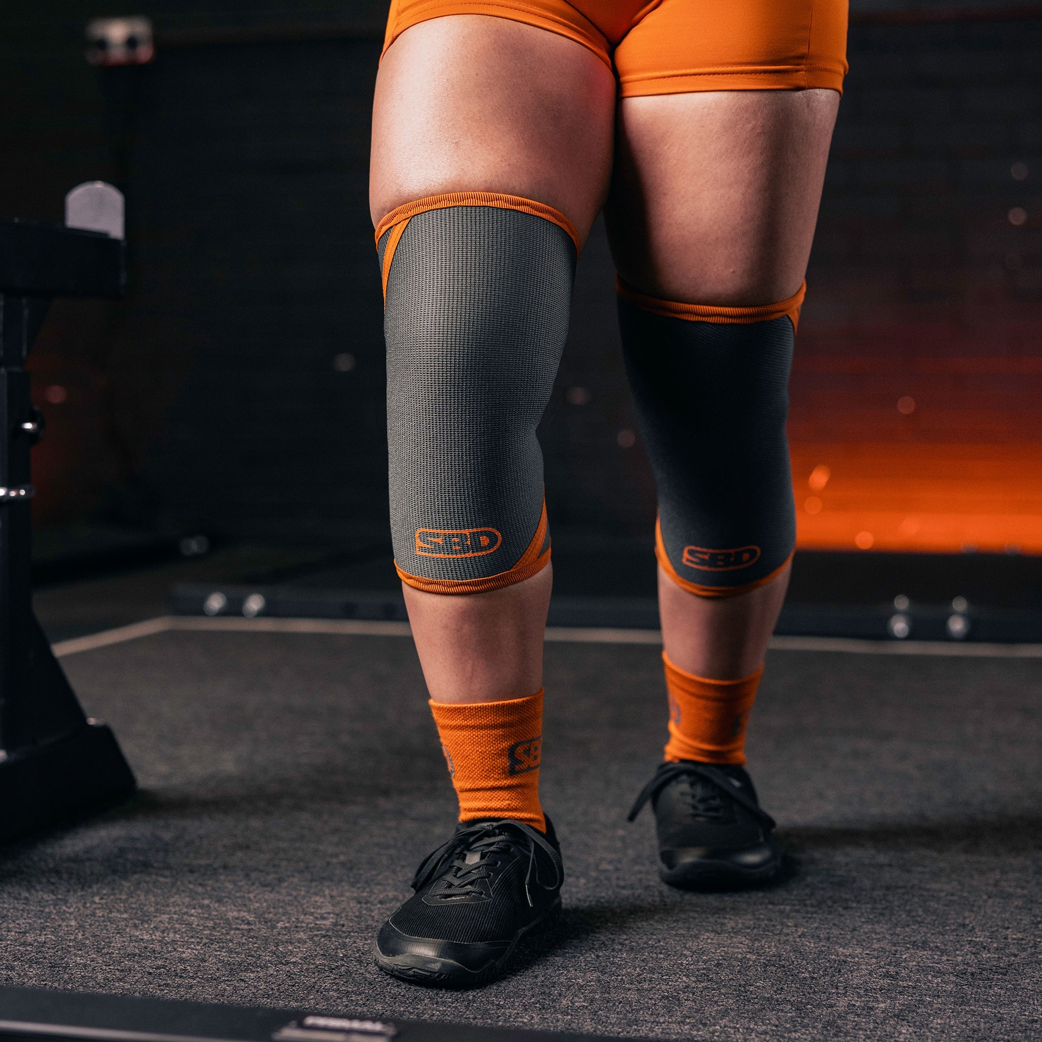 FORGE POWERLIFTING KNEE SLEEVESThe 7mm Knee Sleeves are a product update, rather than a new product launch. They provide all the same performance benefits of the original 7mm Knee Sleeves with theSBD MaltaJazee.storeFORGE POWERLIFTING KNEE SLEEVES