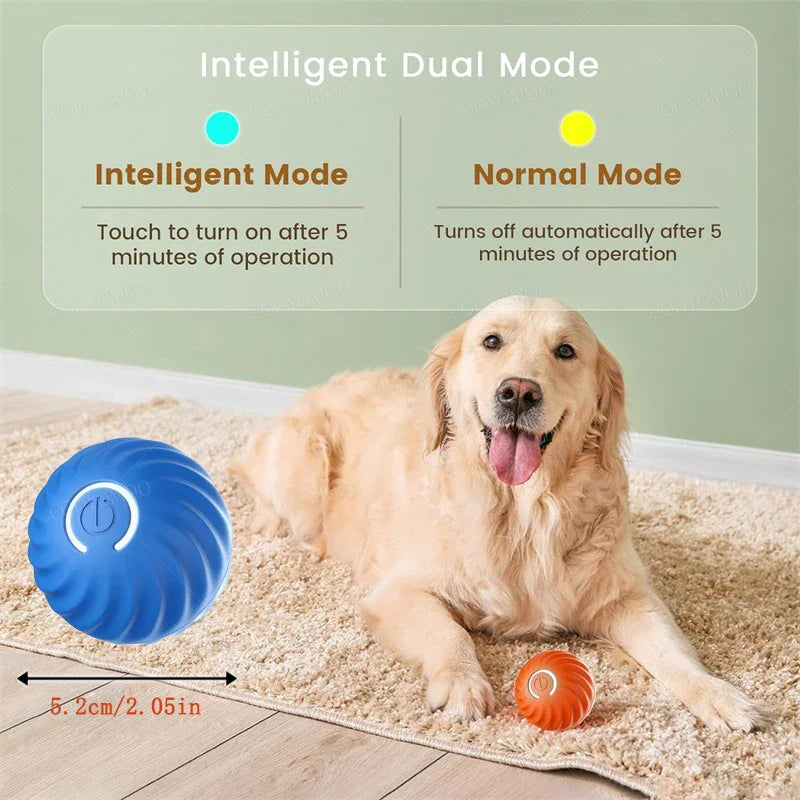 Chase Mate- Interactive Ball For PetsTransform playtime with the Interactive Dog Ball—the ultimate toy designed to keep your furry friend entertained, active, and happy! 🎉🐶
 

 
🐶🐕 Smart Play, EveryShop1104065962 StoreJazee.storeChase Mate- Interactive Ball